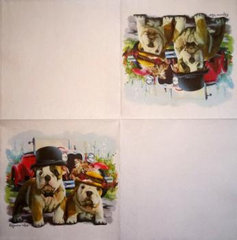 341 Dogs - 1/2/3-ply - Soft Touch - Specials